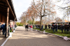 Foto: Vom 14. bis 16. Dezember 2023 wird die Holsteiner Körung in Elmshorn stattfinden. Tickets sind ab sofort erhältlich - Fotograf: Janne Bugtrup