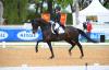 Foto: Helen Langehanenberg siegte mit Straight Horse Ascenzione auch in der Finalqualifikation zum NÜRNBERGER BURG-POKAL - Fotograf: Hubert Fischer 