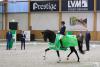 Foto: Hengstparade bei den Qualifikationen zum Bundeschampionat - Foto: RI