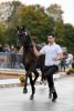 Foto: Die Trakehner Hengste zeigten sich auf dem Holstenhallen-Pflaster von ihrer besten Seite - Fotograf: Stefan Lafrentz
