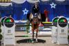 Foto: Bei den 7-jährigen Pferden gewinnt Holger Wulschner den Equiline Youngster Cup - Fotograf: Sportfotos-Lafrentz.de
