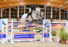 Foto: Der Holsteiner Hengst Caressini von Carento - hier mit Claudia Wähling - zählt seit dem Juni 2023 zum Hengstlot in Klein Offenseth - Fotograf: J. Bugtrup