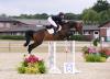 Foto: Classiano v. Class de Luxe-Coriano, Katalognummer 8, darf auf eine sportliche Zukunft hoffen: Seine Mutter Pik Sieben brachte bereits mehrere bis 1,20 Meter erfolgreiche Pferde - Fotograf: Janne Bugtrup