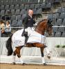 Foto: Reitmeister Hubertus Schmidt und Beryll siegten in der Einlaufprüfung des Louisdor-Preis in der Niedersachsenhalle - Fotograf: J. Fellner