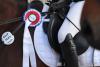Foto: Wichtig im Balios Hunter Cup - Ein besonderer Fokus bei der Bewertung liegt auf dem Gesamteindruck aus den Kriterien für Springpferde- und Stilspringprüfungen - Fotograf: RathmannVerlag