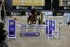 Foto: Die Warsteiner Indoors vom 22. - 24. Oktober sind Auftakt einer ganzen Turnierreihe auf der Reitanlage in Warstein - Fotograf: Archiv/ Warstein Indoors