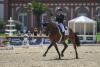Foto: Spitzendressur, Pech im Springen - Titelverteidigerin Ingrid Klimke in Wiesbaden - Fotograf: equistock.de