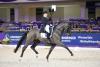 Foto: Isabell Werth auf QC Flamboyant OLD