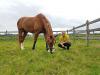  Foto: Isabell Werth und Bella Rose - Fotograf: CHIO Aachen 