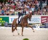Foto: Isabell Werth und Bella Rose im Deutsche Bank Preis beim CHIO Aachen 2019 - Fotograf: CHIO Aachen/ Arnd Bronkhorst