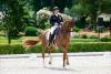 Foto: Isabell Werth und Bella Rose im Grand Prix Special beim Schafthofs Dressurfestival in Kronberg - Siegerin auch in dieser Prüfung - Fotograf: Stefan Lafrentz