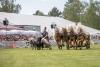 Foto: Jeden Tag auf der Pferd International München wird im Reitstadion ein abwechslungsreiches und buntes Schauprogramm präsentiert werden - Fotograf: Petra Hapke 