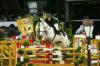 Foto: Multichampion Jeron Dubbeldam kommt nach Braunschweig zum CLASSICO! - Fotograf: T.-BS Sportmarketing GmbH