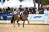 Foto: Jessica von Bredow-Werndl & Times Kismet: Auch in München ist`s die Goldene Schleife im Grand Prix der CDI 5*-Tour – Preis der iWEST Tierernährung - Fotograf: Hubert Fischer