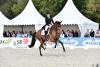 Foto: Jessica von Bredow-Werndl und Zaire-E in Donaueschingen - 2020 ist die Dressur nur mit weitaus weniger Zuschauern möglich - Fotograf: Karl-Heinz Frieler