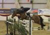 Foto: Johannes Ehning und Cayenne gewannen bei der Damme-Premiere den Auftakt der internationalen Großen Tour - Fotograf: Andreas Hilgenberg