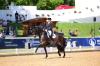 Foto: Jessica von Bredow-Werndl war bereits 2019 mit ihrer TSF Dalera BB bei Pferd International München. Wir freuen uns auf den erneuten Auftritt des Erfolgsteams - Fotograf: Fotodesign gr. Feldhaus