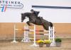Foto: Quintheo R v. Quintero-Casall trägt die Katalognummer 1 und kann bereits eigene Platzierungen sowie mehrere 1,50 Meter-Springer in direkter Verwandtschaft vorweisen - Fotograf: Janne Bugtrup