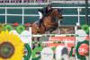 Foto: Der junge Niederländer Kevin Jochems gewinnt das Eröffnungsspringen - Fotograf: Stefan Lafrentz 
