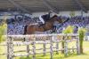 Foto: Das Deutsche Spring- und Dressur-Derby im August 2021 - Fotograf: Sportfotos-Lafrentz.de