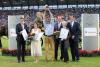 Foto: Eric Knoll feiert den Gewinn der Silbernen Kamera. Luz MÜller (links) wurde Zweite, Annette Dölger kam auf den dritten Platz. Es gratulieren v.l.: Norbert Laufs, Vorstandsvorsitzender der Sparkasse Aachen, Thomas Pennartz Geschäftsführer des Rheinischen Sparkassen- und Giroverbands und ALRV-Aufsichtsratsmitglied Wolfgang Mainz