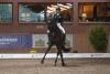 Foto: Ingrid Klimke und Franziskus gewannen in Schenefeld auch den Grand Prix Special - Fotograf: Tara Gottmann
