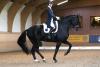 Foto: Kathleen Kröncke und San Royal gewannen in Schenefeld sowohl den Grand Prix, als auch den Special - Fotograf: Tara Gottmann