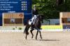 Foto: Lokal-Kolorit im Derby-Finale - Felix Kneese (Appen) siegt mit San Simeon OLD im Grand Prix - Fotograf: Reitsport-Hellmann.de