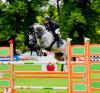 Foto: Konstantin Haag mit SB Broadway Semilly auf der Bayerischen Meisterschaft 2022 - Fotograf: Ursula Puschak 