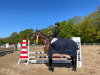 Foto: Kristin Lembrecht und ihre Stute Calina A gewannen die 85er-Klasse mit der Wertnote 7,9 - Fotograf: RathmannVerlag