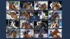 Graphik: LGCT / GCL