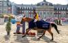 Foto: Luxemburgs Charlotte Bettendorf vor den Kulisse des Münsterschen Schlosses mit Raia d`Helby 2019 - Fotograf: Stefan Lafrentz