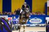Foto: Marc Houtzager wird beim SIGNAL IDUNA Cup um den Sieg reiten - Fotograf: Stefan Lafrentz 