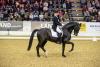 Foto: Erster Grand Prix Special international und erster Sieg für Marcus Hermes und ZINQ Abbegglen FH - Fotograf: Stefan Lafrentz