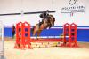 Foto: Massimo Bonomi präsentierte den vierjährigen Dominator Z-Sohn Daikon im Kurzparcours - Fotograf: Janne Bugtrup