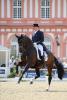 Foto: Der Hannoveraner Hengst Foundation und Matthias Alexander Rath in Wiesbaden - Fotograf: LL-Foto