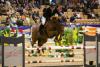 Foto: Mattis Johannsen ging mit seiner Stute Chicca-Blue für das siegreiche Team Knutzen an den Start - Fotograf: Tara Gottmann