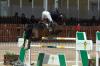 Foto: Richard Howley aus Irland gewann mit Chinook den letzten Großen Preis des Winter Cups des Costa del So l Equestrian Tour - Fotogaf: FV Directo