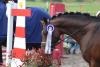 Foto: Bei Nordic Jumping events wird der Overall-Champion im Balios Hunter Cup 2022 ermittelt - Fotograf: RathmannVerlag/Malina Blunck