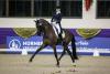 Foto: Sandra Nuxoll mit Bonheur de la Vie - Siegerpaar im Louisdor-Preis - Fotograf: Stefan Lafrentz