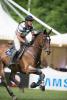 Foto: 19 Jahre und topfit: Championatsreiter Andreas Ostholt verabschiedet in Wiesbaden Erfolgsstute Pennsylvania - Fotograf: equistock.de