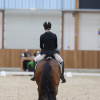 Foto: Riesenbeck erwartet hochklassige internationale Para-Dressur-Reiter - Fotograf: RI