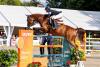 Foto: Rankingspitze Patrick Stühlmeyer bringt den Selle Français Hengst Drako de Maugre, auf dem er bereits in Hagen a.T.W. und Münster punktete, nach Wiener-Neustadt - Fotograf: Sportfotos-Lafrentz.de