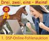 Foto: DSP-Online-Fohlenauktion - Fotograf: Adobe Stock/Weigel