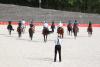 Foto: Probe große Quadrille - Fotograf: Gille