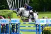 Foto: Der Holsteiner Hengst Quiwi Capitol von Quiwi Dream mit Philipp Schulze- hier in Hamburg beim Derby - Fotograf: Janne Bugtrup