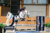 Foto: Begeisterte Reiter beim LWEA Summer Camp in Riesenbeck - Fotograf: LWEA 