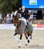 Foto: Jan-Dirk Giesselmann und sein Hannoveraner Real Dancer FRH gewannen bei Verden International 2018 sowohl den Grand Prix, als auch den Grand Prix Special - Fotograf: Rüchel