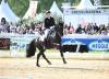 Foto: Sönke Rothenberger gewinnt am Nachmittag den Preis der Frank Zimmerei Holzbau GmbH & Co. KG, einem CDI3* Grand Prix - Fotograf: Hubert Fischer