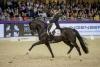 Foto: FREESE Isabel (GER) und Total Hope OLD beim Festhallen-Reitturnier in Frankfurt - Fotograf: Lafrentz